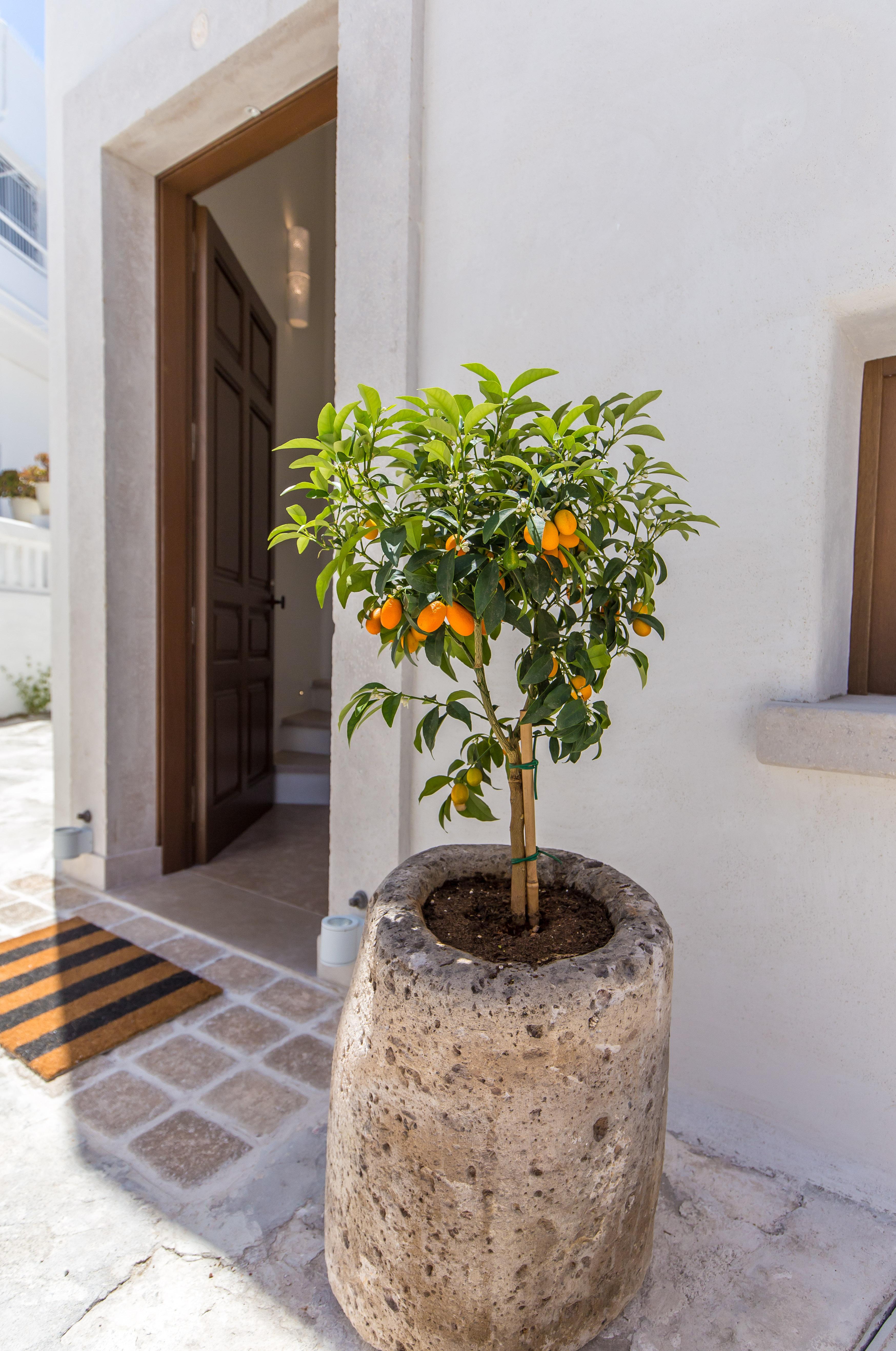 Anagram Hotel Mykonos Town Kültér fotó